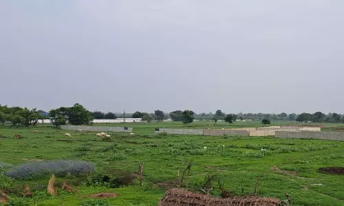 Gaziabad: विजयनगर में कब्जामुक्त की गई सेना की जमीन अब हरी-भरी होगी Gaziabad: विजयनगर में कब्जामुक्त की गई सेना की जमीन अब हरी-भरी होगी