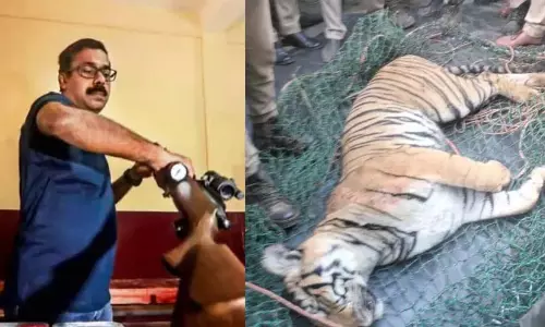 मृत पाये गये बाघ को गोली नहीं मारी गयी: Arun Zakaria मृत पाये गये बाघ को गोली नहीं मारी गयी: Arun Zakaria