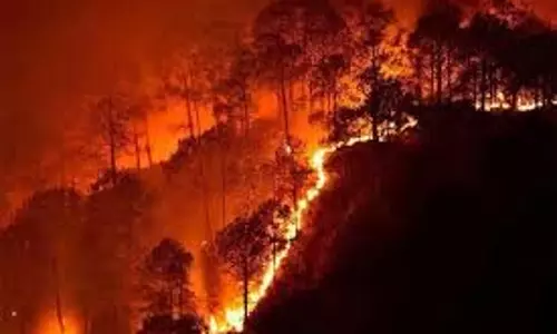 Jammu-Kashmir: जंगलों में लगी भयानक आग, छूटे फायर ब्रिगेड के पसीने