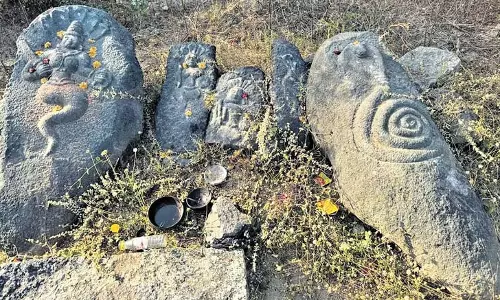 Telangana के चित्याला में 6,000 साल पुरानी पत्थर की कुल्हाड़ी मिली