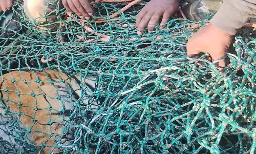 Kerala :   वायनाड में एक नरभक्षी बाघ जंगल के पास एक घर के बाहर मृत पाया