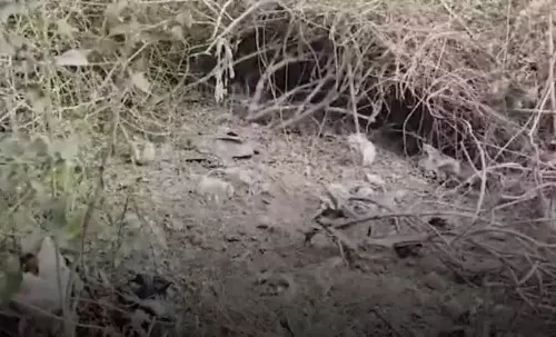 Assam : गणतंत्र दिवस पर गुवाहाटी में दोहरे विस्फोट Assam : गणतंत्र दिवस पर गुवाहाटी में दोहरे विस्फोट