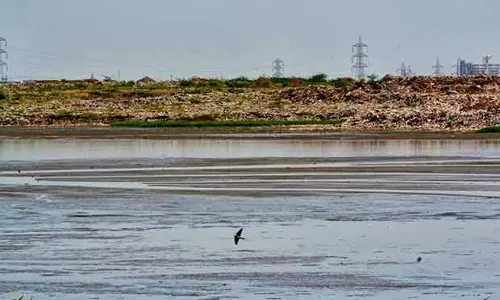 वेटलैंड अथॉरिटी तमिलनाडु में रामसर स्थलों का अध्ययन करने के लिए ड्रोन वेटलैंड अथॉरिटी तमिलनाडु में रामसर स्थलों का अध्ययन करने के लिए ड्रोन