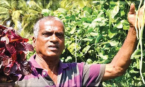 प्लम्बर-किसान, धरतीपुत्र: प्रकाश करापुरकर Goa की कृषि विरासत के समर्थक प्लम्बर-किसान, धरतीपुत्र: प्रकाश करापुरकर Goa की कृषि विरासत के समर्थक