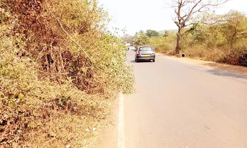 GOA: बिजली विभाग के कर्मचारी काम में लापरवाही बरत रहे