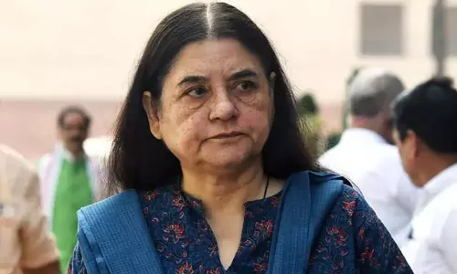 केरल वासियों को जंगली जानवरों को मारना पसंद है: मेनका गांधी की आलोचना केरल वासियों को जंगली जानवरों को मारना पसंद है: मेनका गांधी की आलोचना