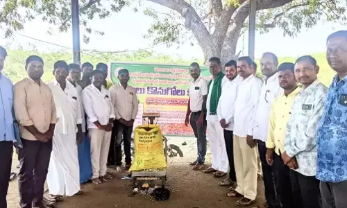 Alampur निर्वाचन क्षेत्र में किसानों से लाल चना खरीद केंद्रों का उपयोग करने का आग्रह किया