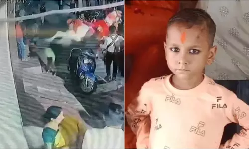 OMG! शादी समारोह में नाचते घोड़े ने मारी लात, मासूम की दर्दनाक मौत