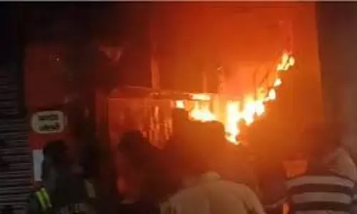 Shimla: बगीचों और गौशालाओं में लगी आग, जिंदा जलीं गायें Shimla: बगीचों और गौशालाओं में लगी आग, जिंदा जलीं गायें