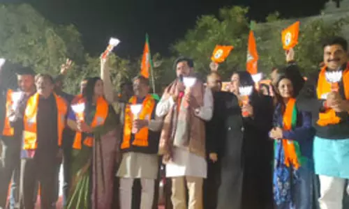दिल्ली चुनाव 2025 : रवि किशन ने दिल्ली में भाजपा के वनवास को खत्म करने की अपील की