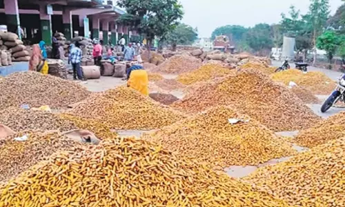 Telangana: अधिकारी राष्ट्रीय हल्दी बोर्ड की स्थापना के लिए स्थान तलाश रहे