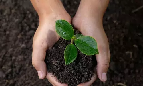 Assam: हेमोलोटा हांडिक ट्रस्ट ने गोलाघाट में ‘मेरे स्कूल के पेड़ अभियान की शुरुआत की