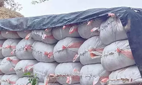 Andhra: किसान स्थानीय व्यापारियों को धान बेच रहे