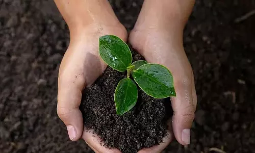 Assam : हेमोलोटा हांडिक ट्रस्ट ने गोलाघाट में ‘मेरे स्कूल के पेड़’ अभियान की शुरुआत