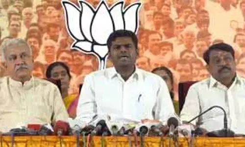 अन्नामलाई ने बिजली दरों में देरी को लेकर सरकार की आलोचना की