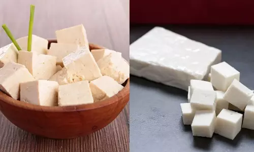 टोफू और पनीर के बीच अंतर: प्रोटीन सेवन बढ़ाने के लिए कौन सा बेहतर विकल्प टोफू और पनीर के बीच अंतर: प्रोटीन सेवन बढ़ाने के लिए कौन सा बेहतर विकल्प