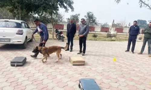 Haryana में मादक पदार्थों की खोज में K9 ने मदद की Haryana में मादक पदार्थों की खोज में K9 ने मदद की
