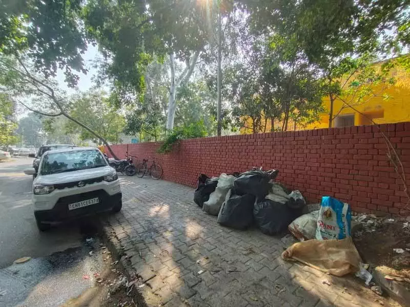 Chandigarh: सेक्टर 11 में कूड़ा डंपिंग की समस्या Chandigarh: सेक्टर 11 में कूड़ा डंपिंग की समस्या