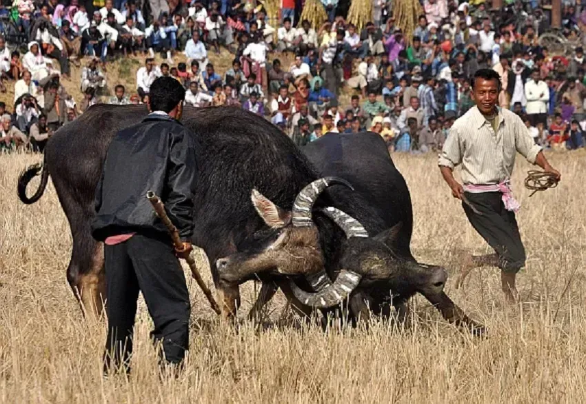 Assam के मंत्री के खिलाफ कार्यकर्ता सुप्रीम कोर्ट पहुंचे