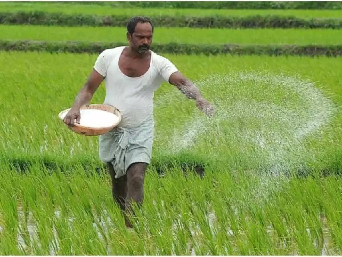 4.41 लाख किसानों को Raithu Bharosa के तहत 569 करोड़ रुपये दिए गए 4.41 लाख किसानों को Raithu Bharosa के तहत 569 करोड़ रुपये दिए गए