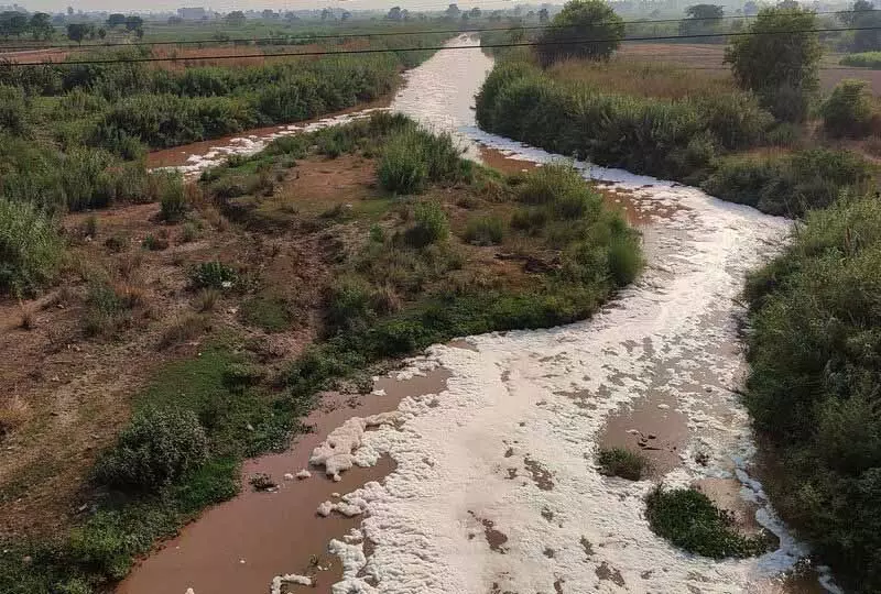 NGT पैनल ने कहा, घग्घर नदी का पानी नहाने लायक नहीं