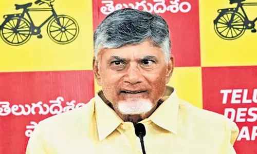 Andhra: केंद्रीय बजट में राज्य के लिए धन सुरक्षित करने का प्रयास किया जाएगा: सीएम चंद्रबाबू नायडू