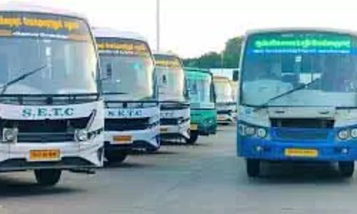 Tamil Nadu: एसईटीसी शुभ दिनों के लिए विशेष बसें चलाएगी Tamil Nadu: एसईटीसी शुभ दिनों के लिए विशेष बसें चलाएगी