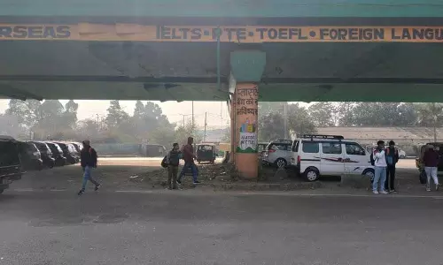 Haryana :  अंबाला में फ्लाईओवर के नीचे वर्टिकल गार्डन और वेंडिंग जोन बनाए जाएंगे