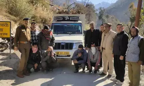 अवैध रूप से निकाली गई Kashmiri जड़ों के साथ पांच गिरफ्तार