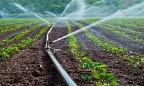 Gopalganj: सरकारी साधन बदहाल रहने से गहराया सिंचाई का संकट