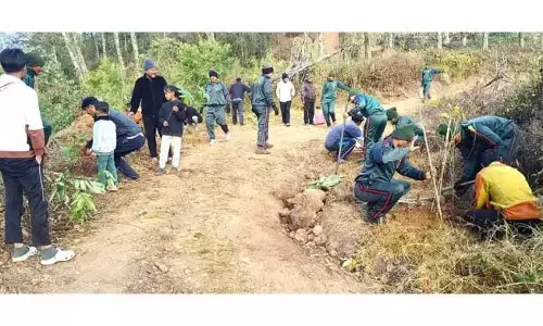 AR ने मेलुरी में वृक्षारोपण अभियान का आयोजन किया