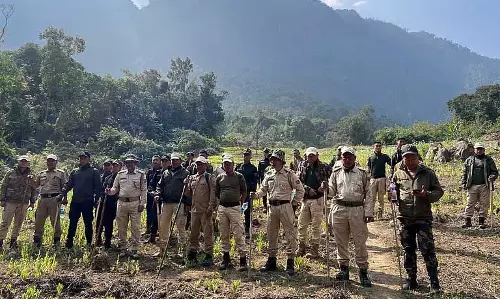 Manipur : सेनापति में 4.8 हेक्टेयर अवैध अफीम के खेत नष्ट किए