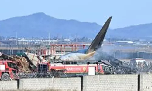 South Korea: बुसान विमान में आग लगने से सात लोग मामूली रूप से घायल South Korea: बुसान विमान में आग लगने से सात लोग मामूली रूप से घायल
