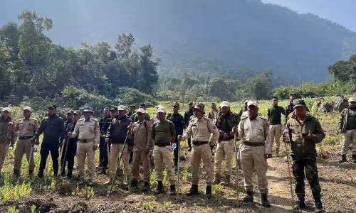 Manipur पुलिस ने नशा विरोधी अभियान में अफीम की बड़ी खेती नष्ट Manipur पुलिस ने नशा विरोधी अभियान में अफीम की बड़ी खेती नष्ट