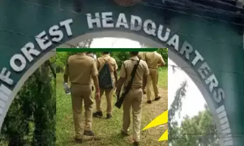 Kerala: वन विभाग ने खुफिया इकाई के गठन का आदेश दिया Kerala: वन विभाग ने खुफिया इकाई के गठन का आदेश दिया
