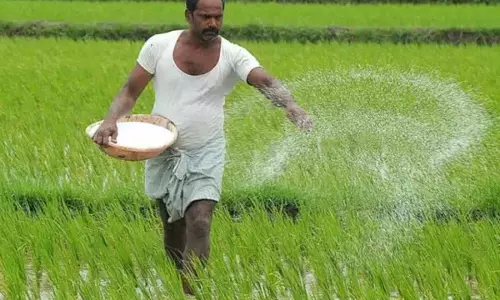 4.41 लाख किसानों को Raithu Bharosa के तहत 569 करोड़ रुपये दिए गए 4.41 लाख किसानों को Raithu Bharosa के तहत 569 करोड़ रुपये दिए गए