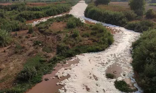 NGT पैनल ने कहा, घग्घर नदी का पानी नहाने लायक नहीं