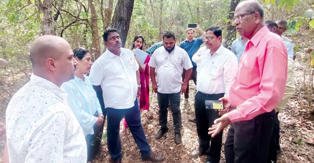 गोवा SC/ST पैनल ने वन विभाग को खांडेपार में पारंपरिक दाह संस्कार की अनुमति देने का आदेश दिया गोवा SC/ST पैनल ने वन विभाग को खांडेपार में पारंपरिक दाह संस्कार की अनुमति देने का आदेश दिया