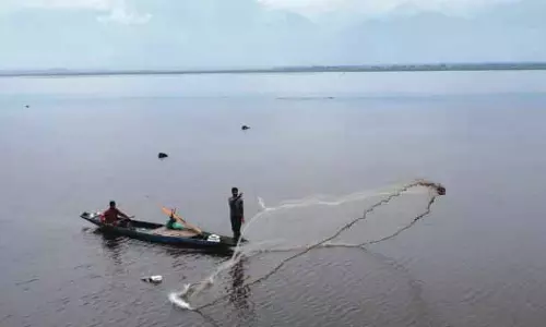 चिल्लई कलां समाप्त, जम्मू-कश्मीर में लंबे समय तक सूखा जारी चिल्लई कलां समाप्त, जम्मू-कश्मीर में लंबे समय तक सूखा जारी