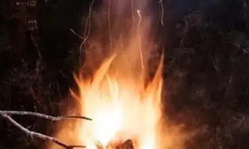 अंबिकापुर और मैनपाट में ठंड का दबदबा, सुबह-शाम ठिठुर रहे लोग