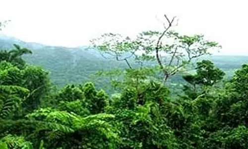 Kerala: वन विभाग ने मानवीय क्षति को कम करने के लिए मिशन एफएफडब्ल्यू शुरू किया