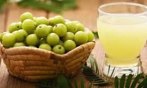 Health: हर रोज पिएं आंवले का पानी, जानें इस प्राकृतिक पेय को पीने के स्वास्थ्य लाभ