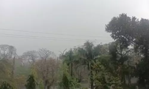हल्की धुंध और प्रदूषण की डबल मार झेल रहा एनसीआर, दिल्ली के कई इलाकों में एक्यूआई 400 पार हल्की धुंध और प्रदूषण की डबल मार झेल रहा एनसीआर, दिल्ली के कई इलाकों में एक्यूआई 400 पार