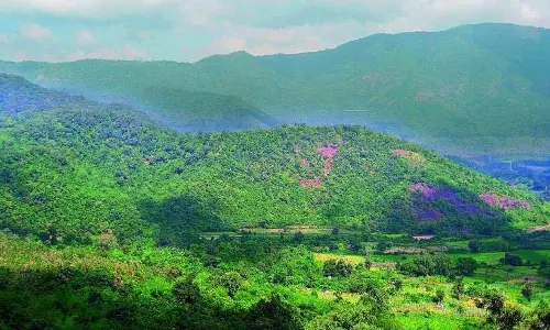 Andhra Pradesh: अराकू घाटी तीन दिवसीय चाली उत्सव की तैयारी
