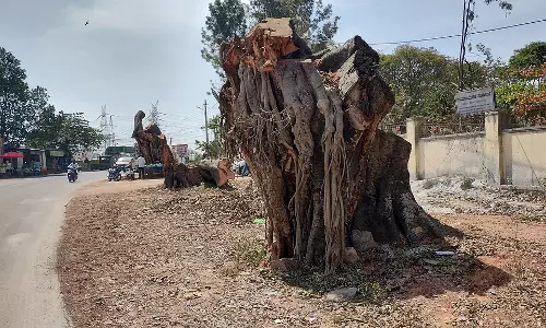 चार लेन वाली सड़क का निर्माण: 154 पेड़ काटे गए चार लेन वाली सड़क का निर्माण: 154 पेड़ काटे गए