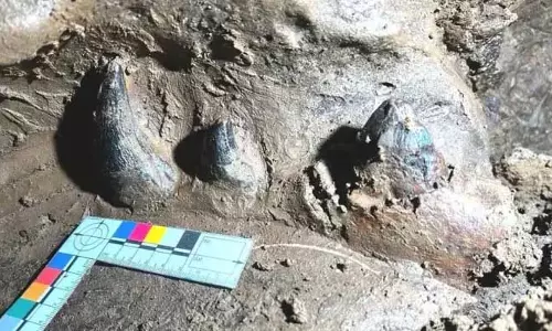 Nagaland : मलया गांव से 30 मिलियन वर्ष से अधिक पुराना प्रागैतिहासिक जीवाश्म चोरी