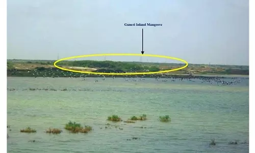 Kutch का गुनेरी गांव अब गुजरात का पहला जैव विविधता विरासत स्थल