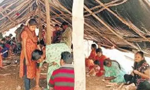 Andhra: कडप्पा राजा-रानी डॉल्स ने विपणन सहायता मांगी