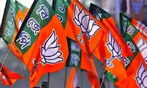 नम्रता सिंह को जिला पंचायत सीट पर बीजेपी ने दिया टिकट
