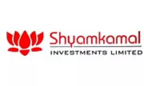 Shyam Kamal Investments Q3 परिणाम: घाटे में 1650% की वृद्धि, राजस्व?